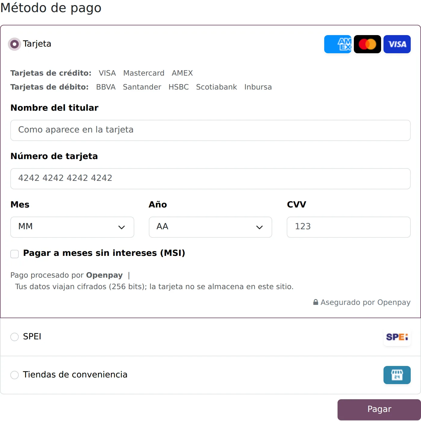 Formulario de pago de Odoo con la tarjeta seleccionada: nombre del titular, número, vencimiento, CVV y la casilla de meses sin intereses, más las opciones de SPEI y tiendas de conveniencia