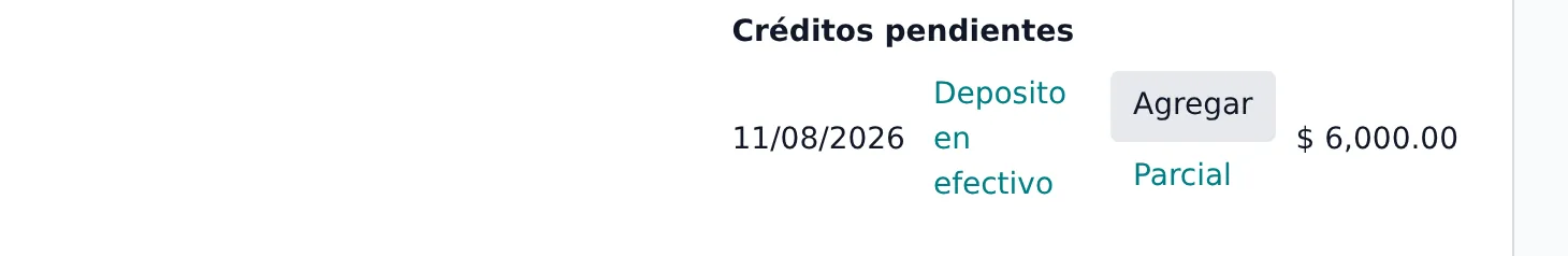 Bloque de creditos pendientes de la factura con los botones Agregar y Parcial