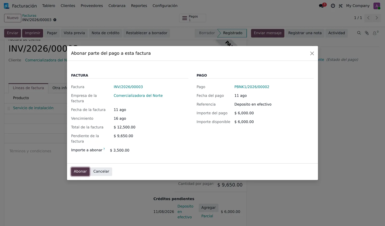 Ventana de abono parcial con los datos de la factura, los del pago y el importe a abonar